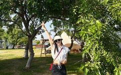 无限好资源免费观看